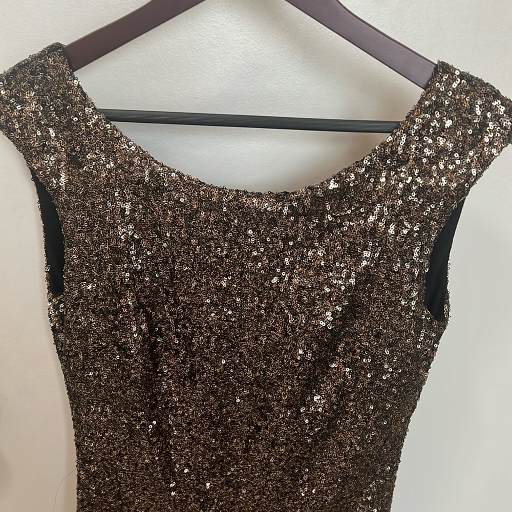 Beautiful Sequin Dress